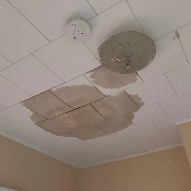 Ceiling Water Damage Repair in Bristol, VA