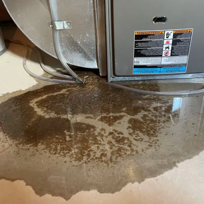 Pipe Burst and Leak Restoration in Bristol, VA