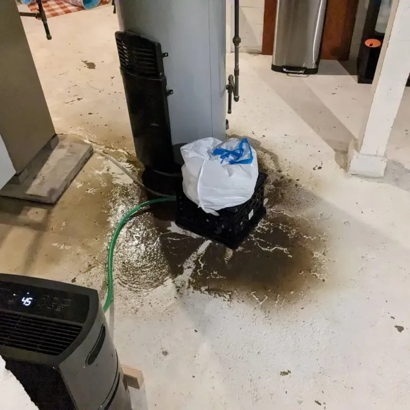 Sewage Backup Cleanup Service in Bristol, VA